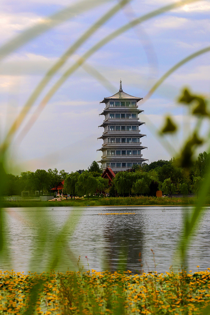 IMG_8702副本.jpg