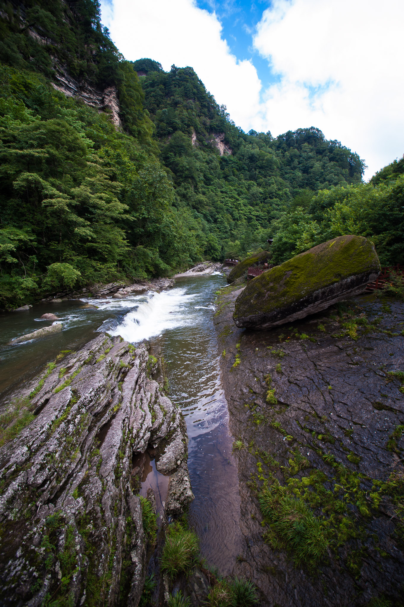 DSC_7468.jpg