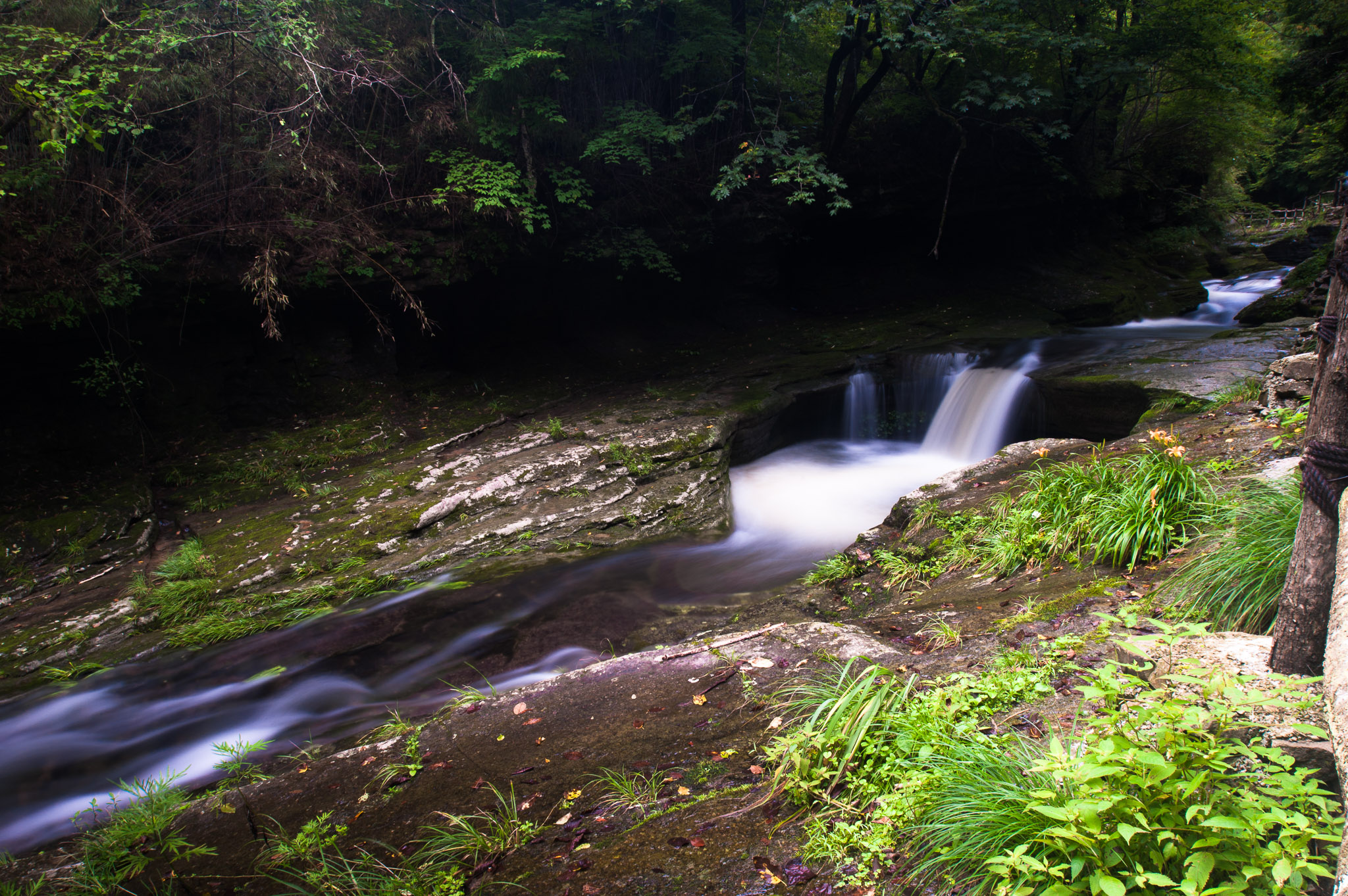DSC_7585.jpg