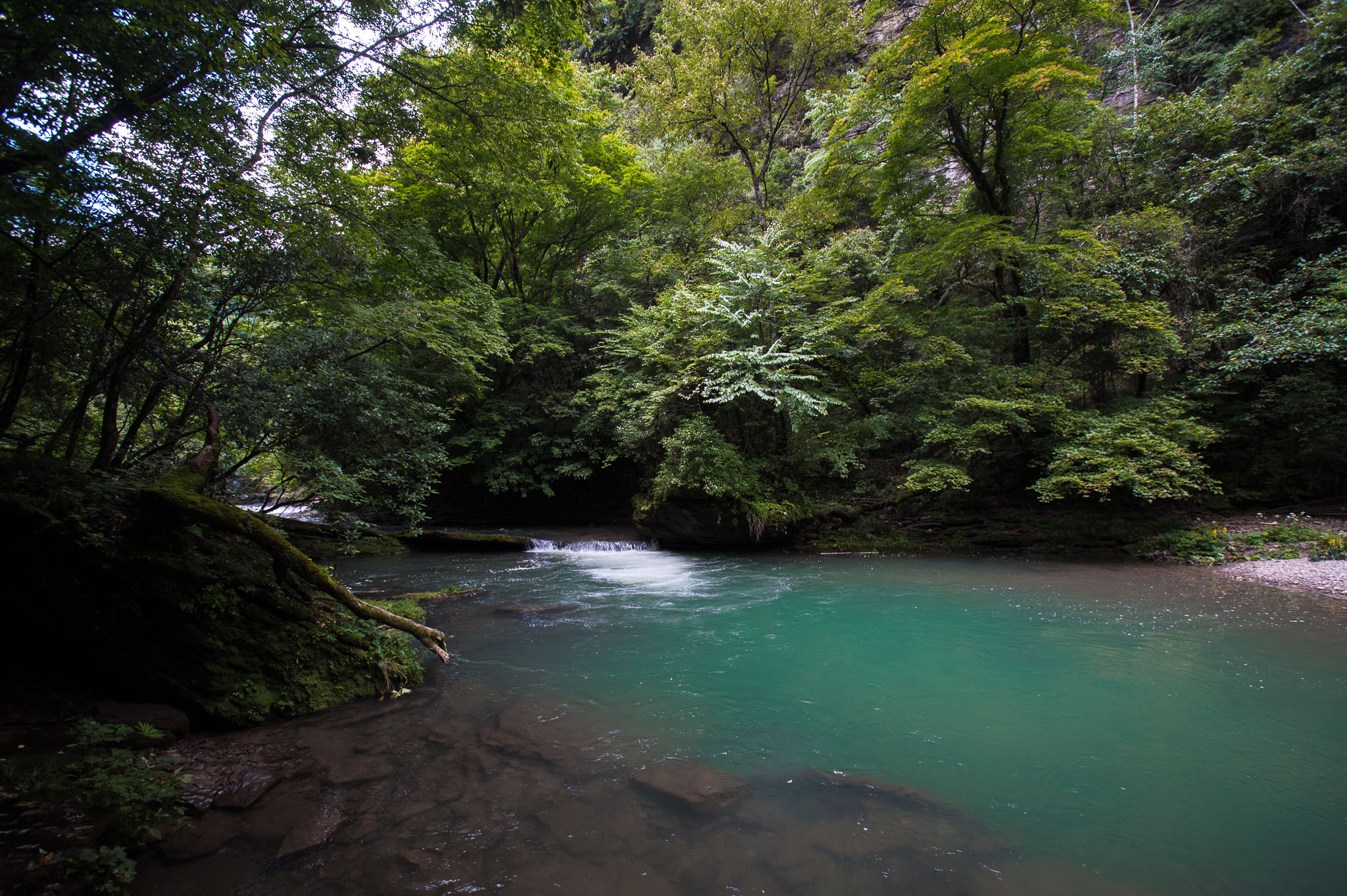 DSC_7696.jpg