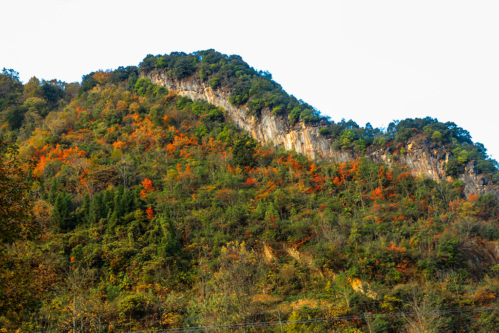 IMG_6937副本.jpg