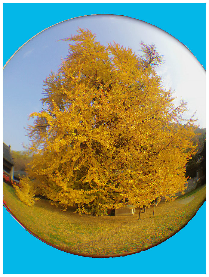 nEO_IMG_QQ图片20181109180951.jpg