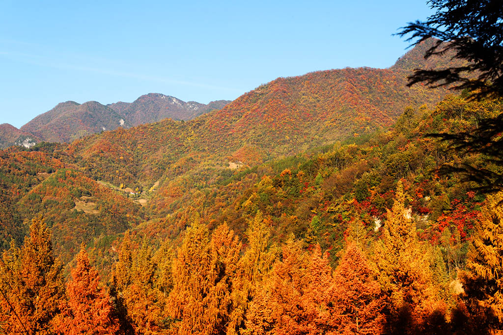 IMG_6799副本.jpg