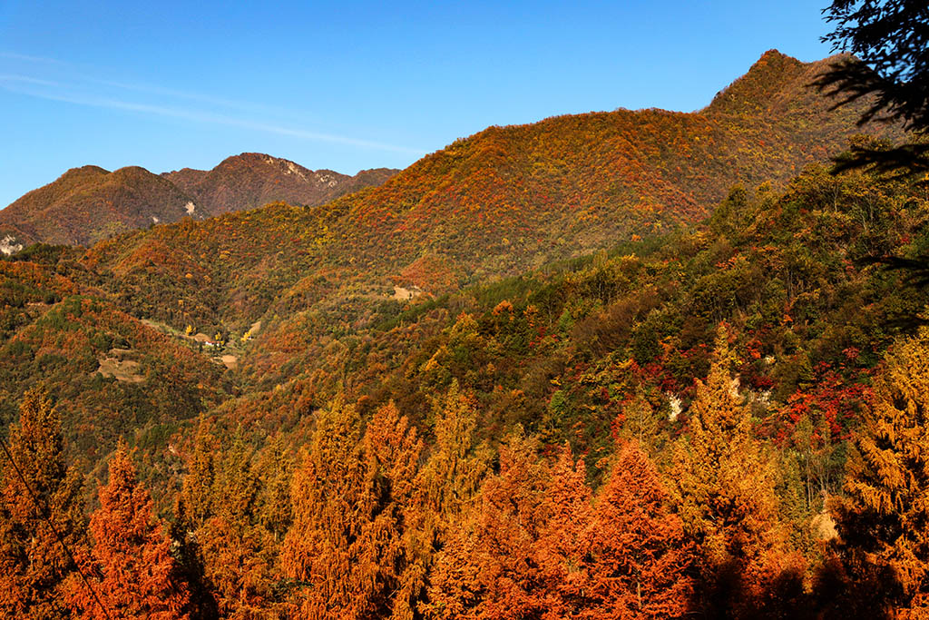 IMG_6800副本.jpg
