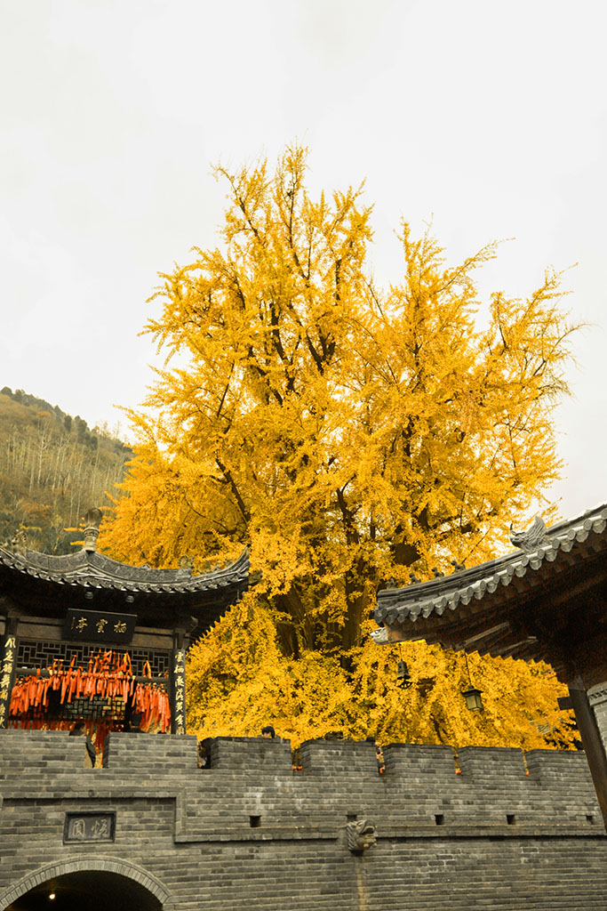 IMG_7157副本.jpg