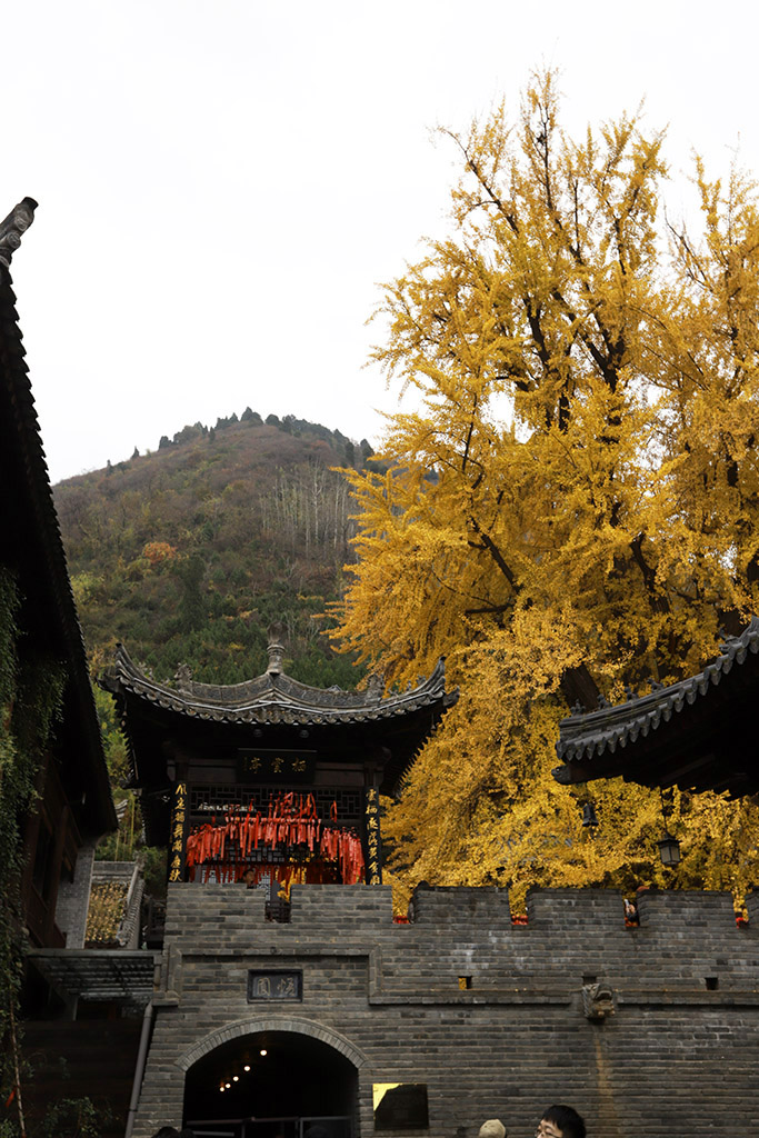IMG_7156副本.jpg