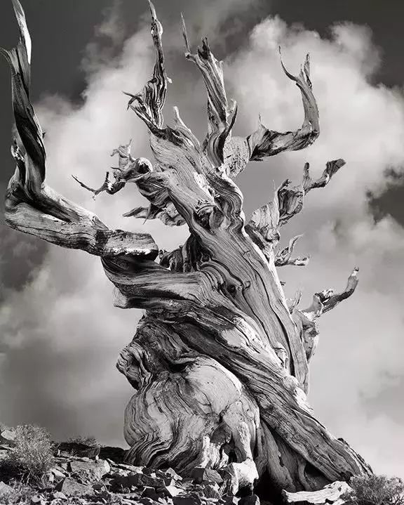 eac2f580c3f904c1dca88d4a7bb48720.jpg eac2f580c3f904c1dca88d4a7bb48720.jpg