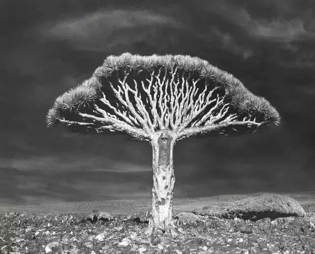 4caa7b2959c95d1c230ff6bd6d0ffcf7.jpg 4caa7b2959c95d1c230ff6bd6d0ffcf7.jpg