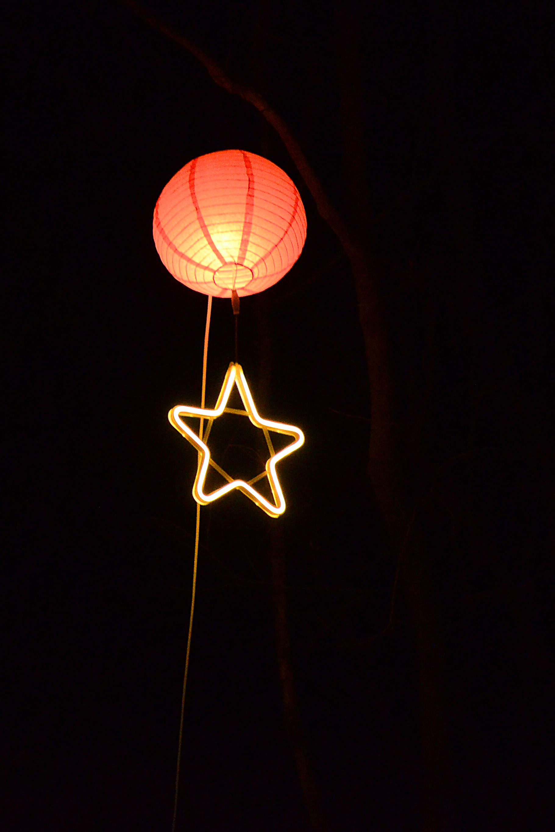 DSC_5187.JPG