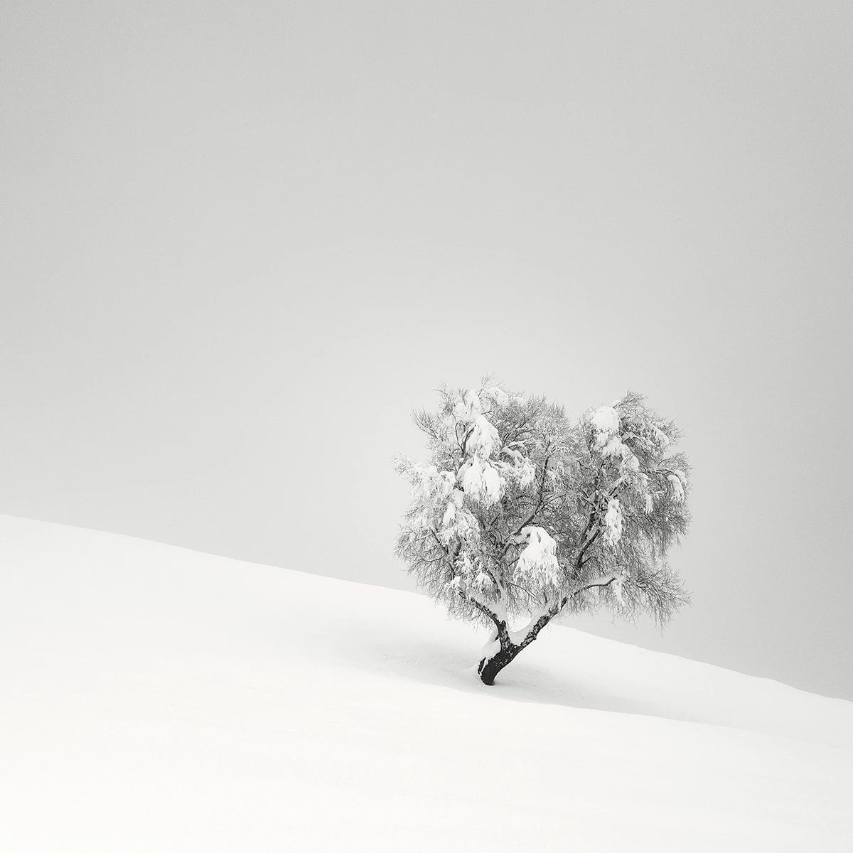 d849782a39c64b12607700291d4bb7e0.jpg