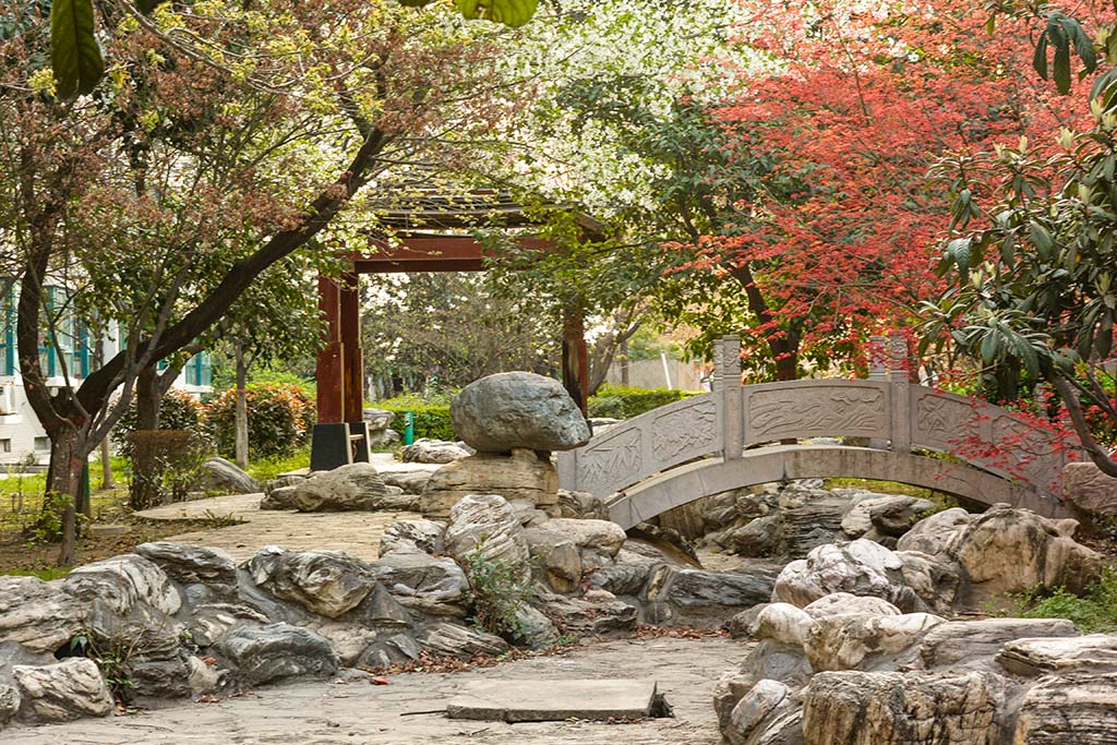 DSC_0909副本.jpg