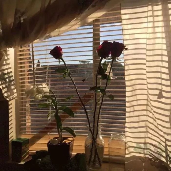 979c15a67262227802e99c0c2ae760f4.jpg