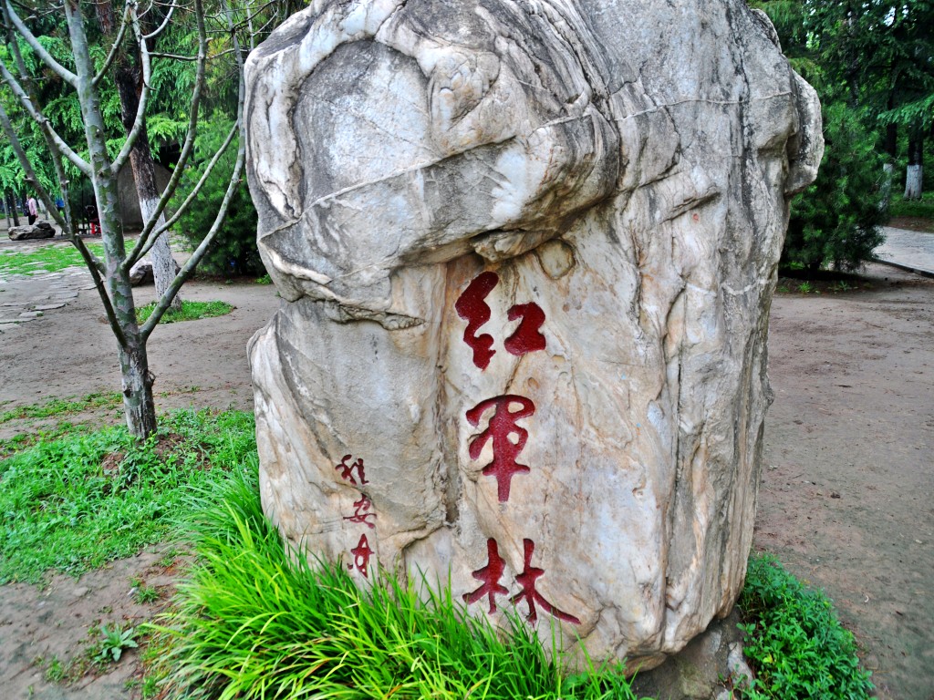 DSC_0004_conew1.jpg