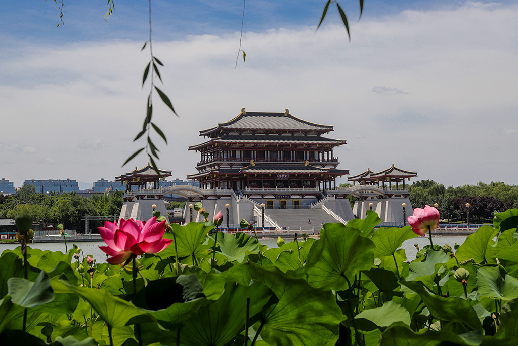 IMG_9087副本.jpg