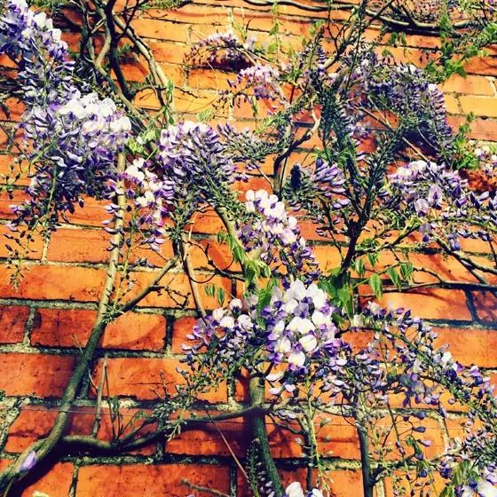 1309284b9677b62e79456845faf02a82.jpg 1309284b9677b62e79456845faf02a82.jpg