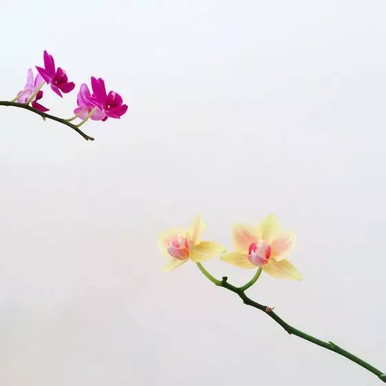 d26a523a1c63a959e3160e9cfc33523a.jpg d26a523a1c63a959e3160e9cfc33523a.jpg