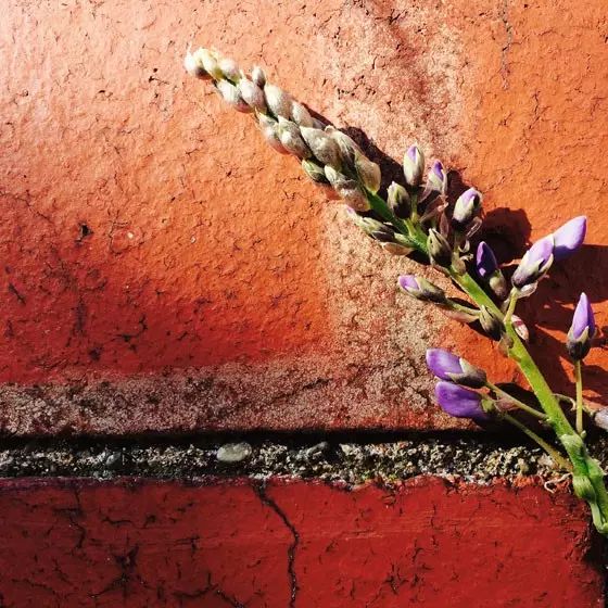 af4abfc78b25bce6da95bcd5a8ee410c.jpg af4abfc78b25bce6da95bcd5a8ee410c.jpg