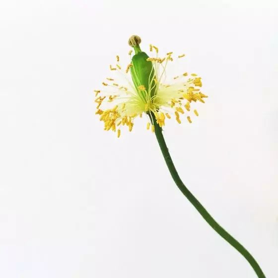 3602ed17782765a0b7c9f7cc670cae92.jpg 3602ed17782765a0b7c9f7cc670cae92.jpg