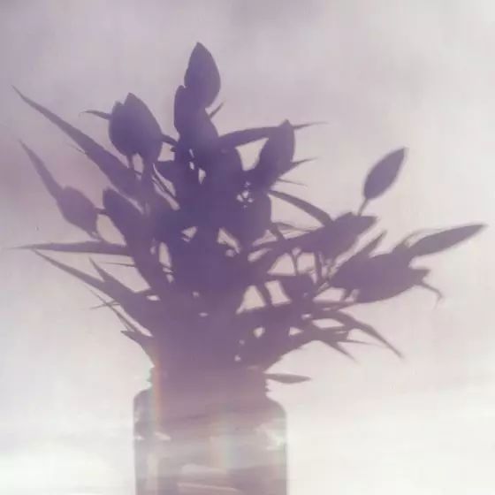 72c0ede5e31a9c993ce5be2991f6f457.jpg 72c0ede5e31a9c993ce5be2991f6f457.jpg