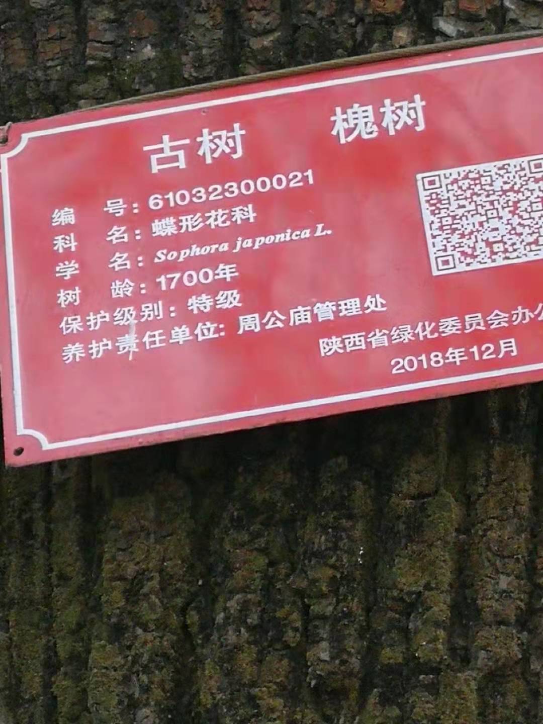a879b2227176e9af7c82c7496e6d669.jpg