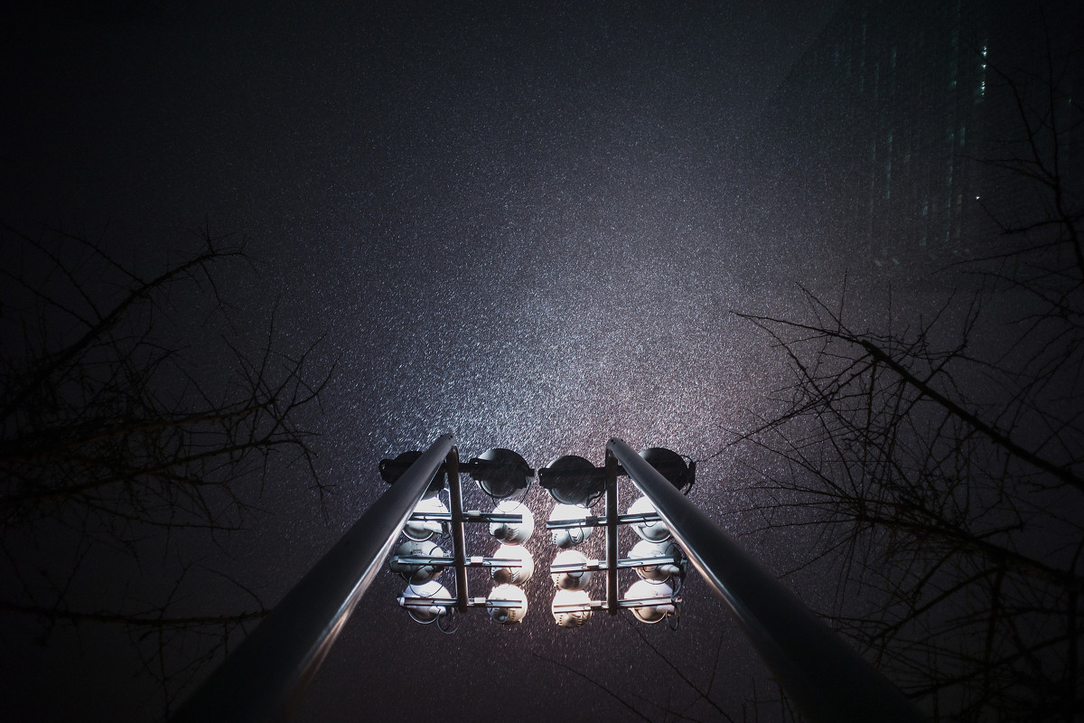 14049981.jpg
