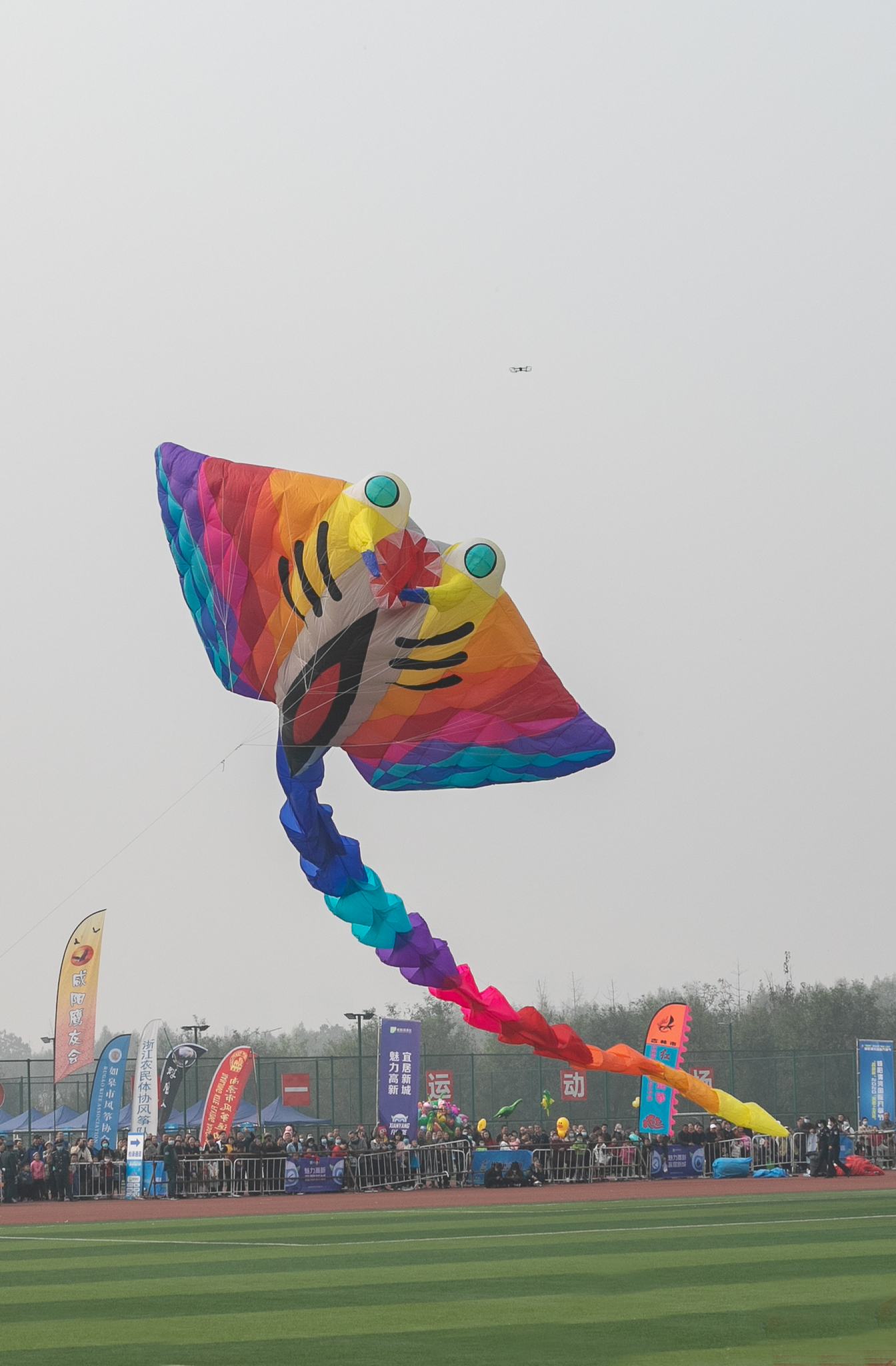 IMGM6013.JPG