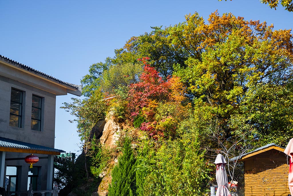 IMG_1507副本.jpg
