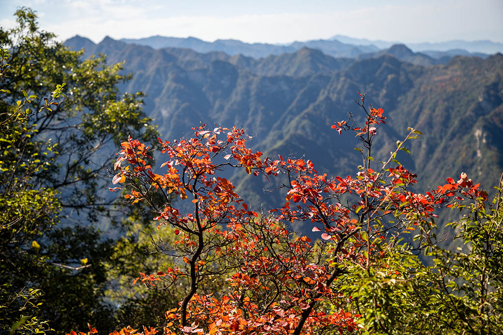 IMG_1533副本.jpg