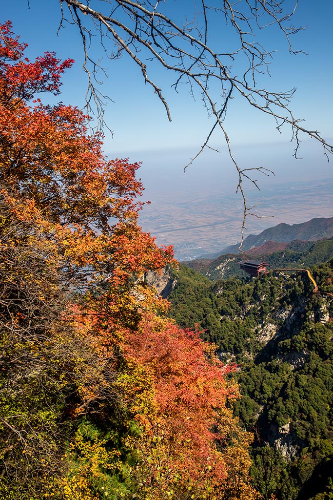 IMG_1541副本.jpg