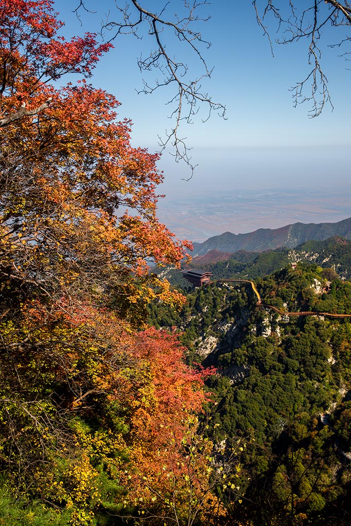 IMG_1540副本.jpg