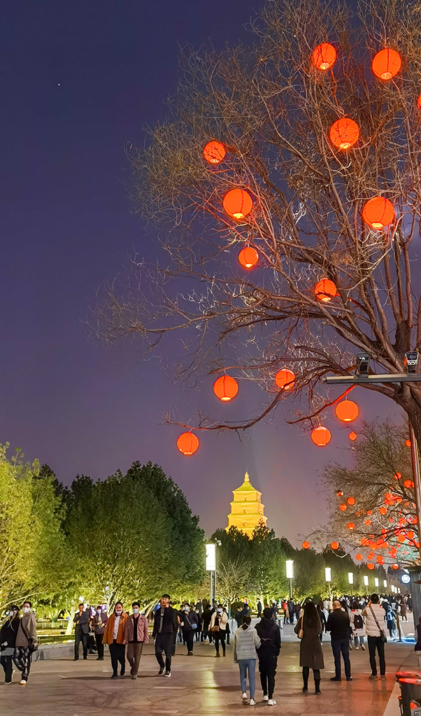 IMG_20210303_191559副本.jpg