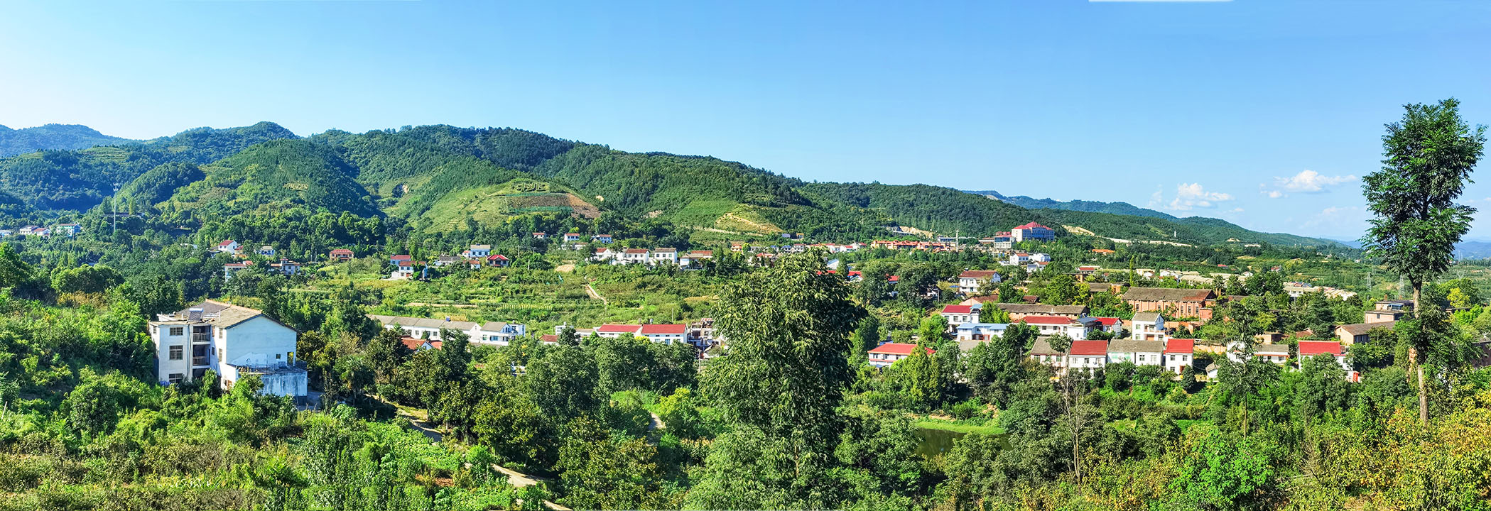 樱桃沟2已发.jpg