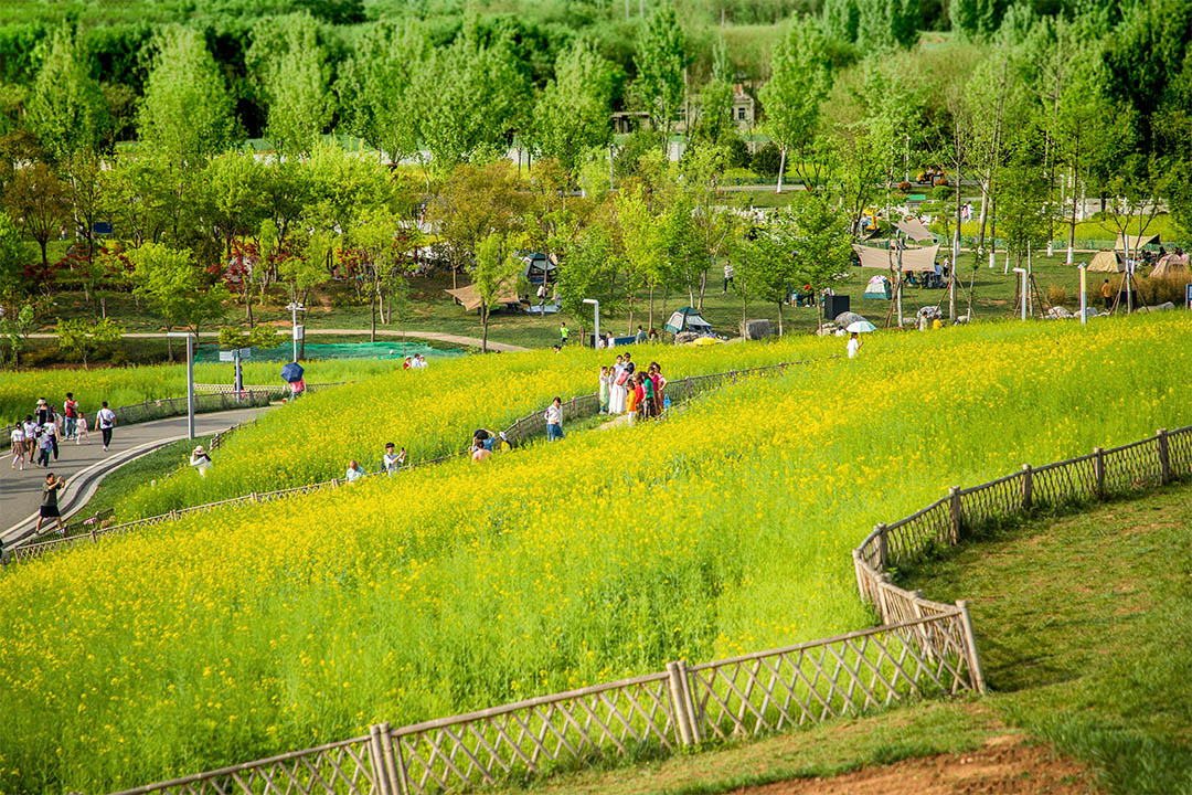 IMG_9508已发.jpg