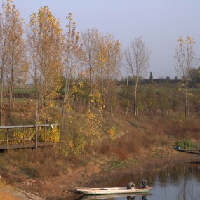 20131114杨庄风景