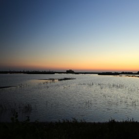 十一长假第一天