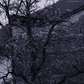 《碎念·婺源》