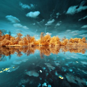 世界有太多未到达的色彩