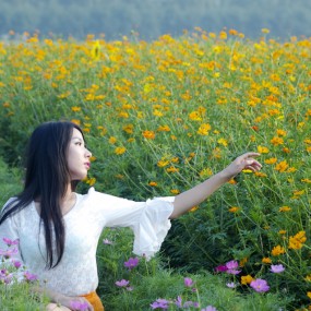 楼观台金葵花作业二