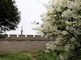 春到古城