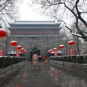 瑞雪迎春