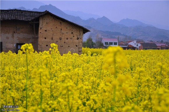 清明安康汉阴、赢湖踏春