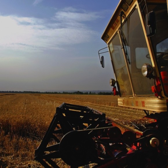 秦岭原野风光（七）
