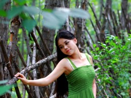 小同的夏天（续）