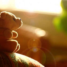 维尼熊的幸福生活