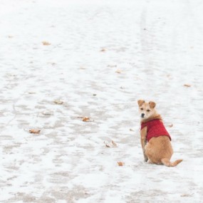2014年大明宫雪