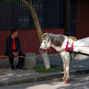 阆中掠影《2》