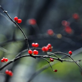 不怕追尾 跟着秋的屁股再撵一回