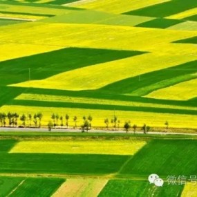 也不知道为什么，就想帮你安排一下端午节