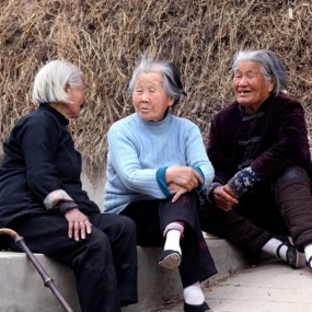 岁月悠悠的她和她