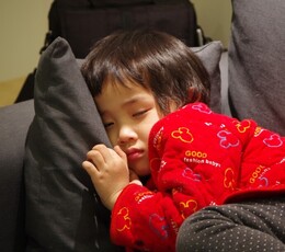 我的专职小模特